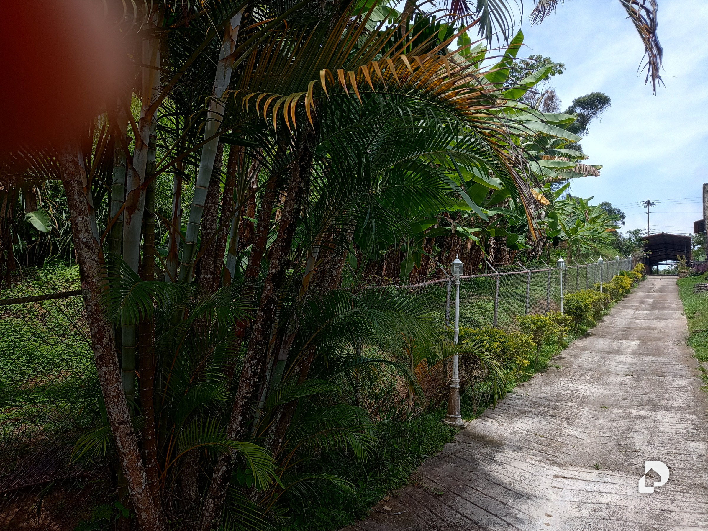 Terreno en Municipio Carrizal – 2