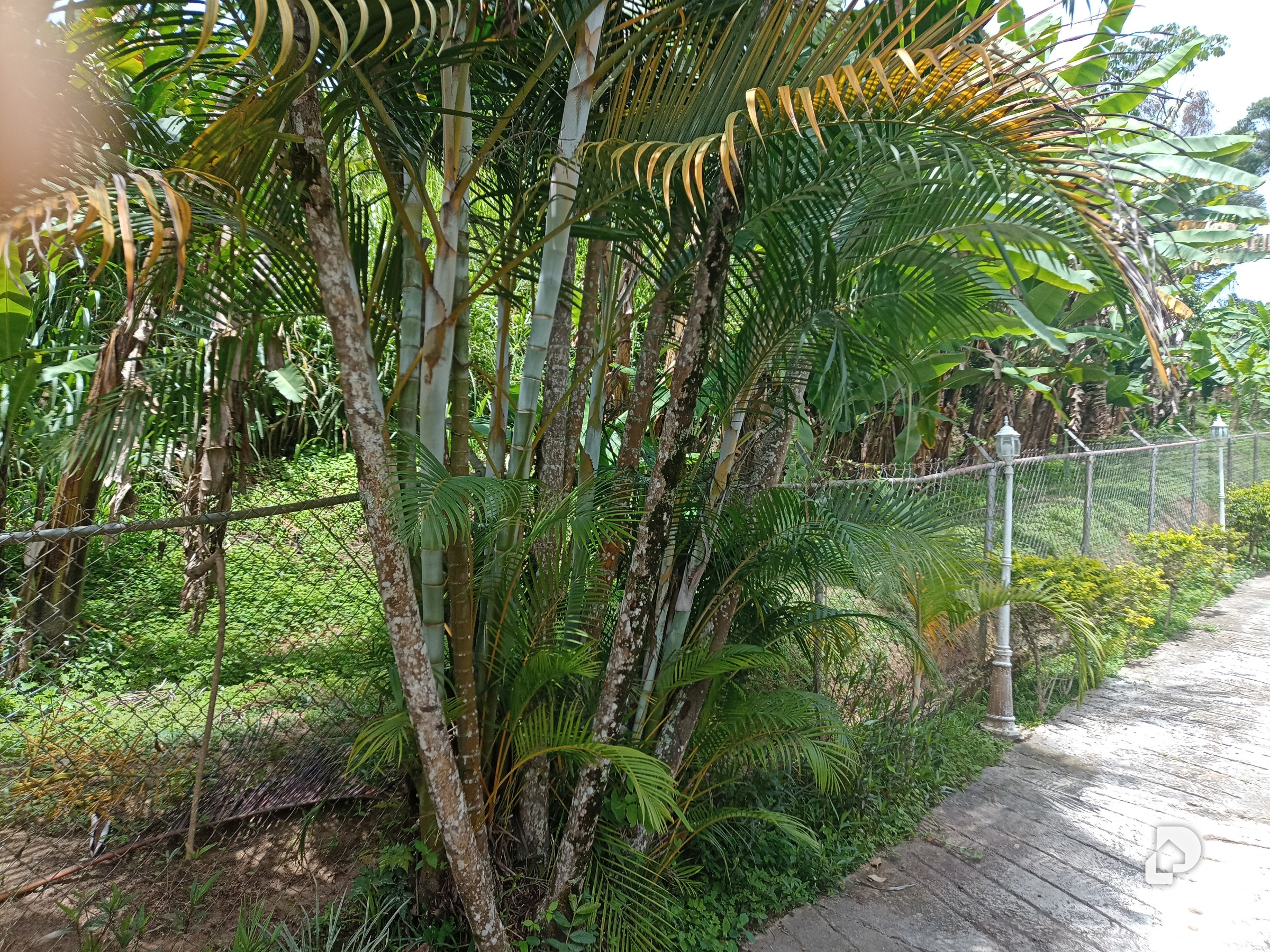 Terreno en Municipio Carrizal – 4