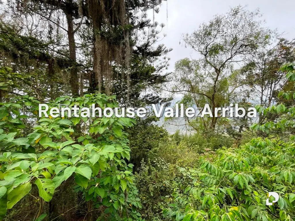 House in Los Guayabitos, Caracas – 91