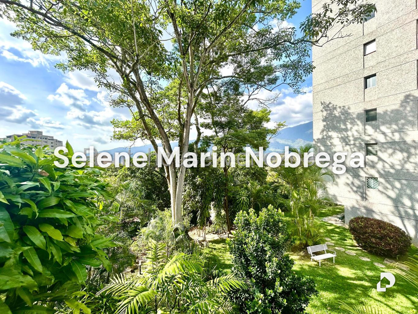 Apartamento en Colinas de Bello Monte, Caracas – 26