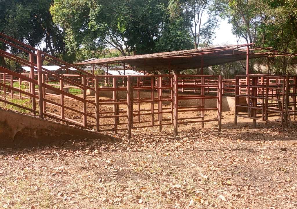 Land in Tinaquillo - 1