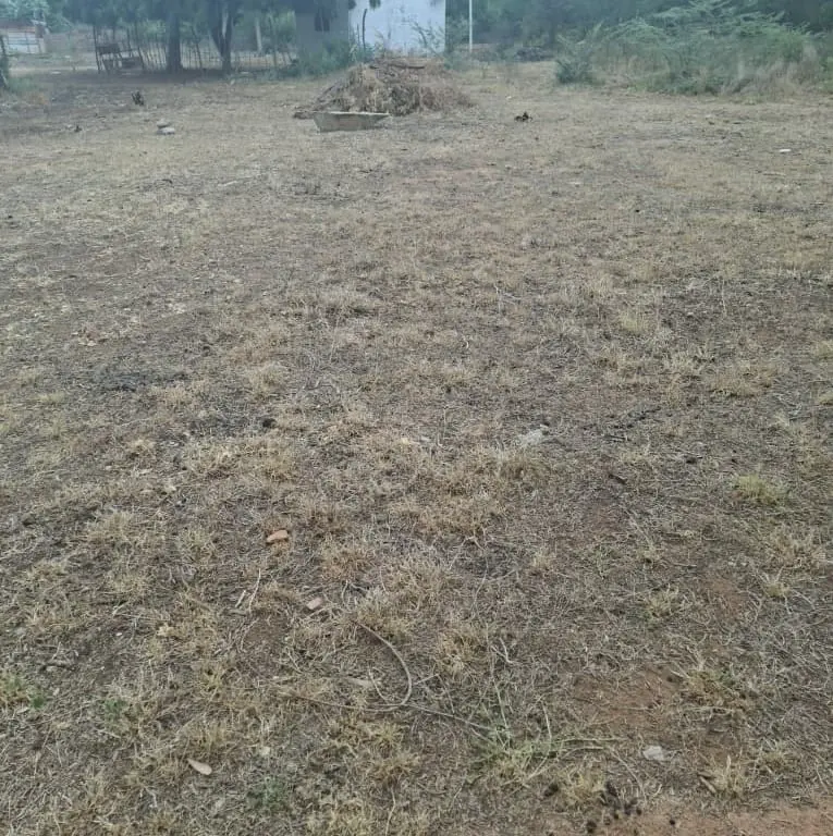 Land in Maracaibo - 1
