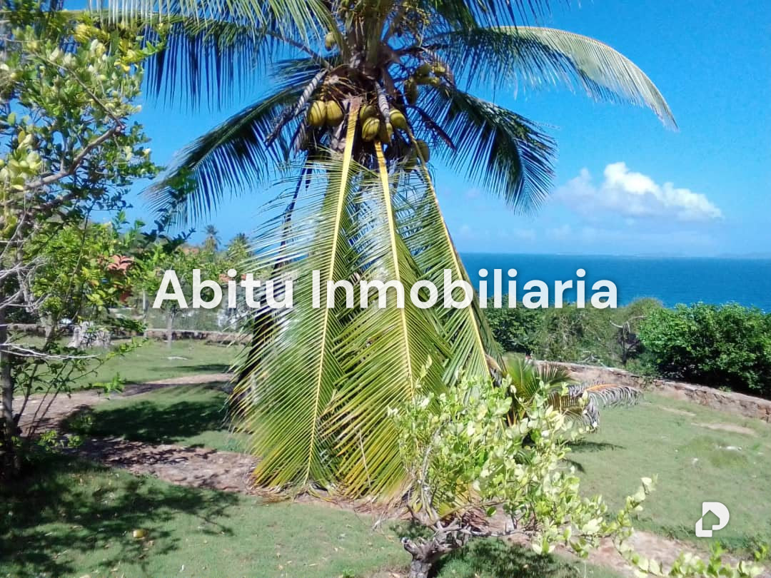 Casa en Antolín del Campo, Margarita (noreste) – 15