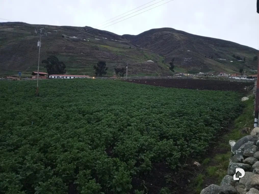 Land in Mifafi, Apartaderos – 9