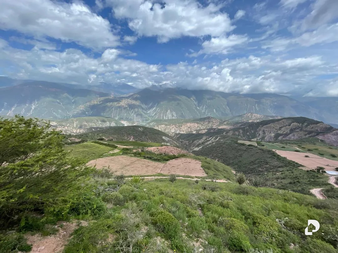 Finca en Cases, Volador, Lagunillas – 8