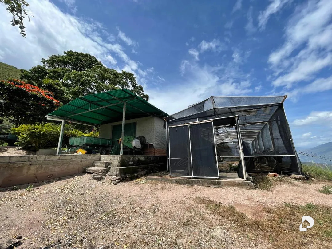 Finca en Cases, Volador, Lagunillas – 13