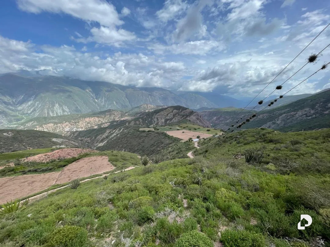 Finca en Cases, Volador, Lagunillas – 9