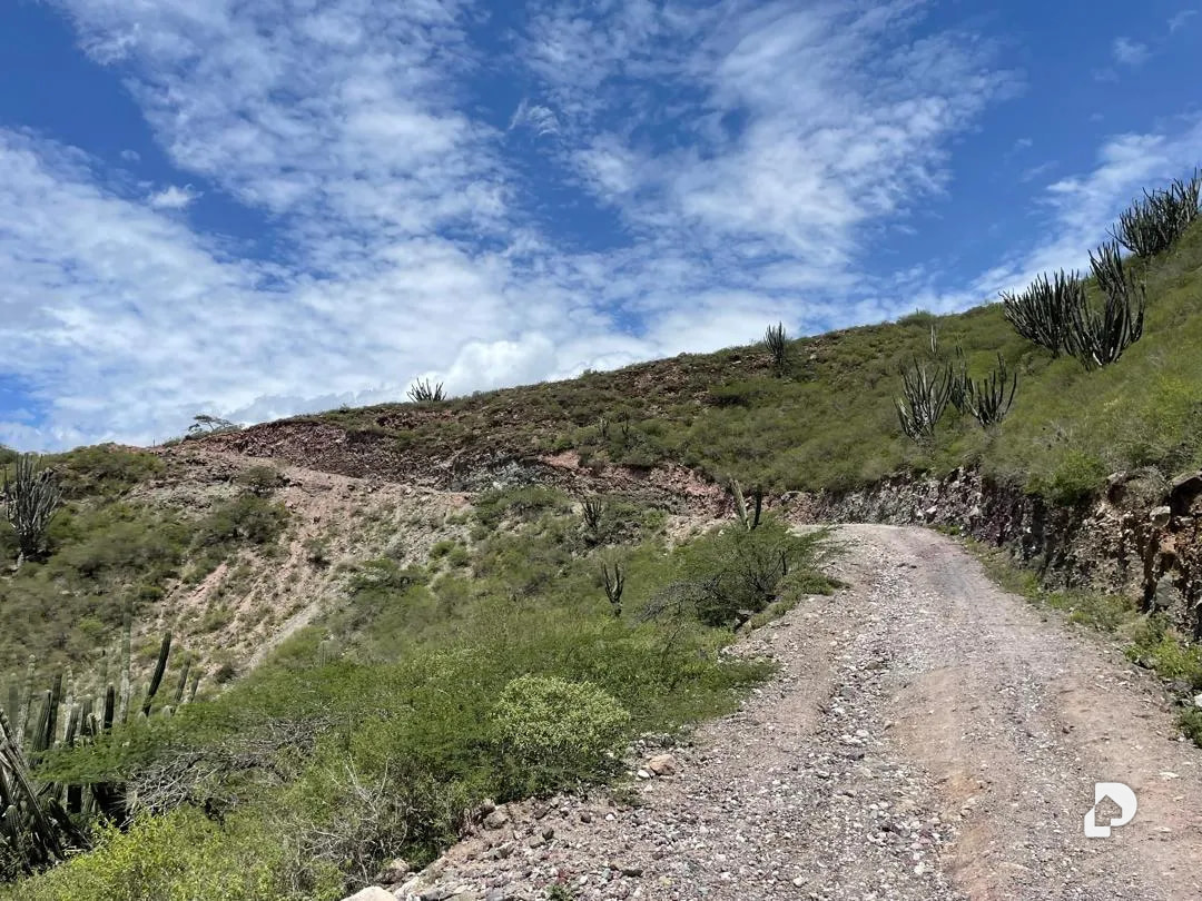 Finca en Cases, Volador, Lagunillas – 30