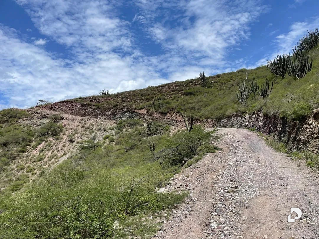 Finca en Cases, Volador, Lagunillas – 33