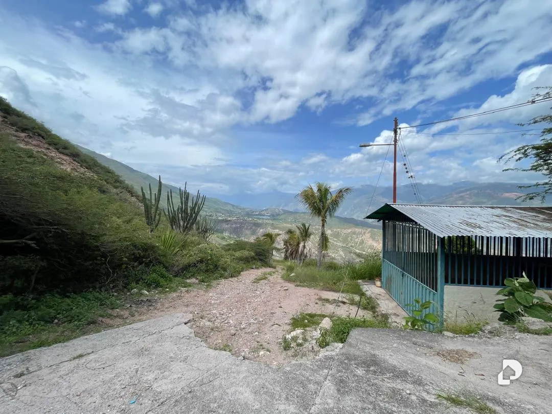 Finca en Cases, Volador, Lagunillas – 23