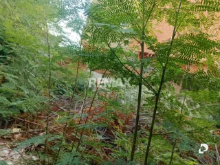 Land in Valle Frío, Maracaibo – 7