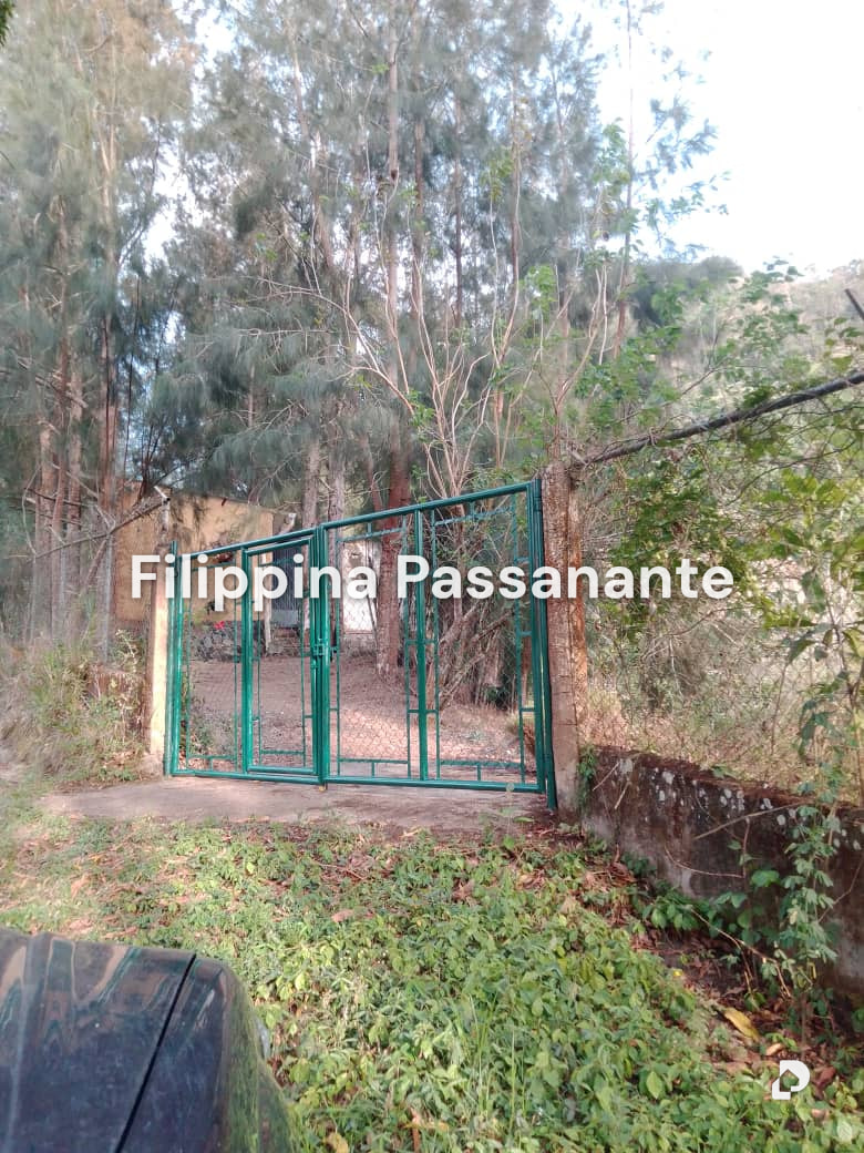 Finca en El Guácharo, Caripe – 2