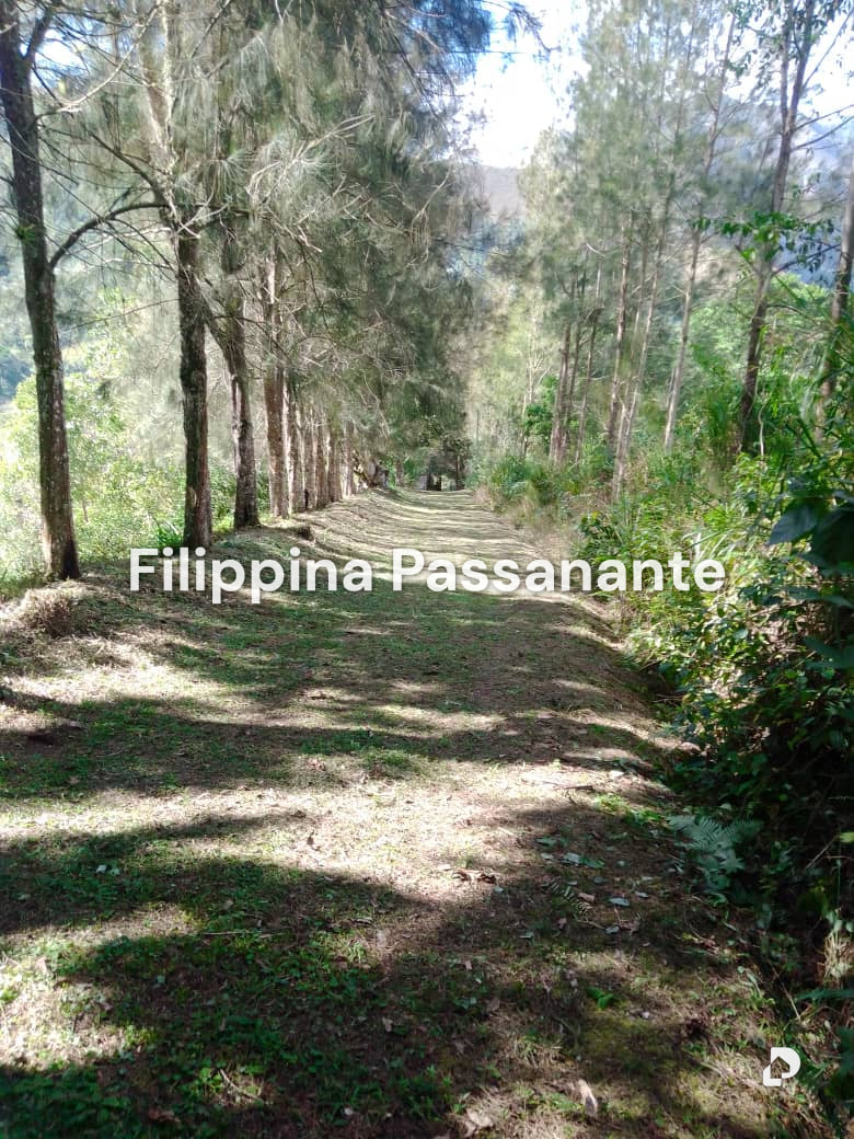 Finca en El Guácharo, Caripe – 1