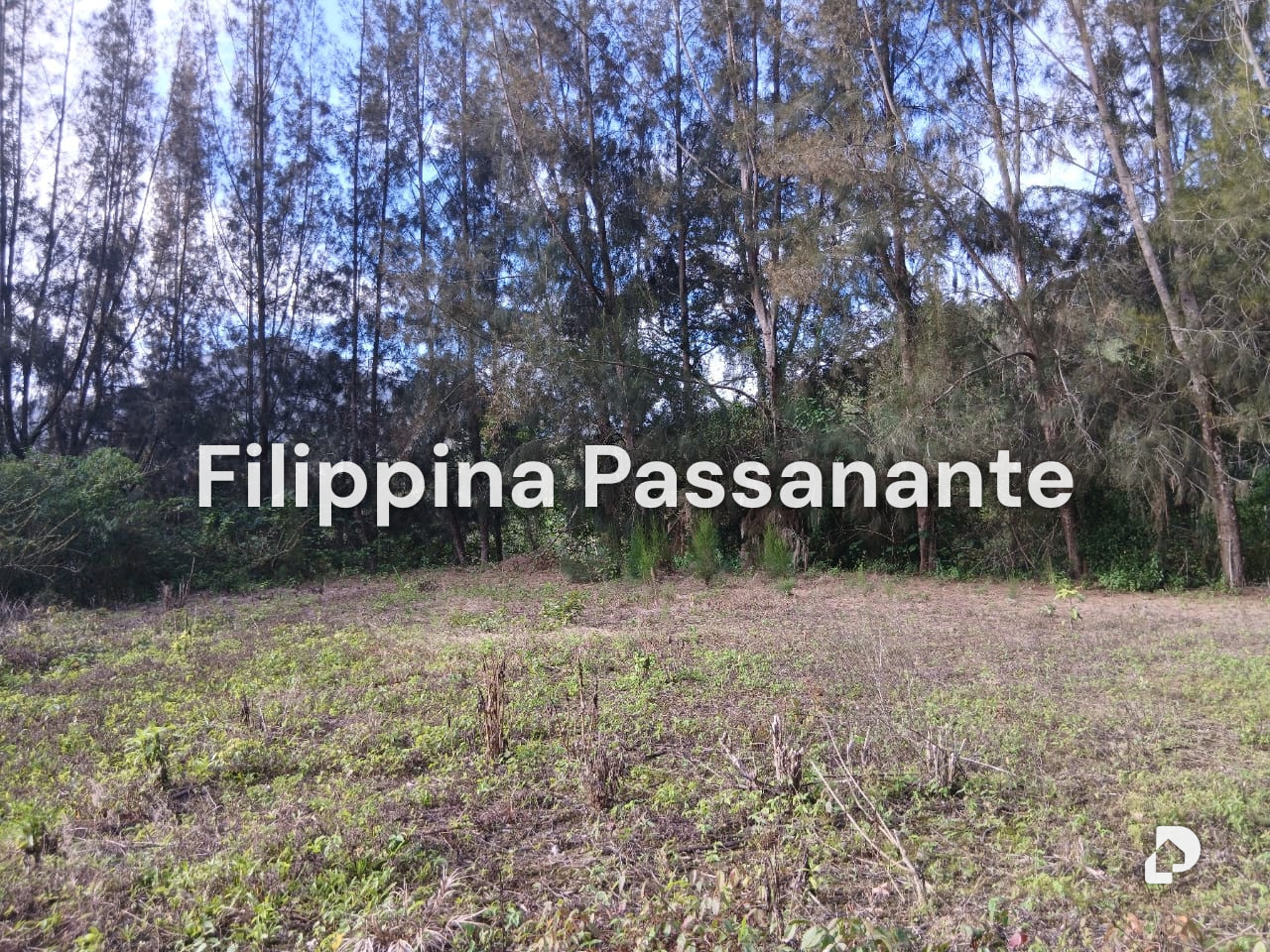 Finca en El Guácharo, Caripe – 7