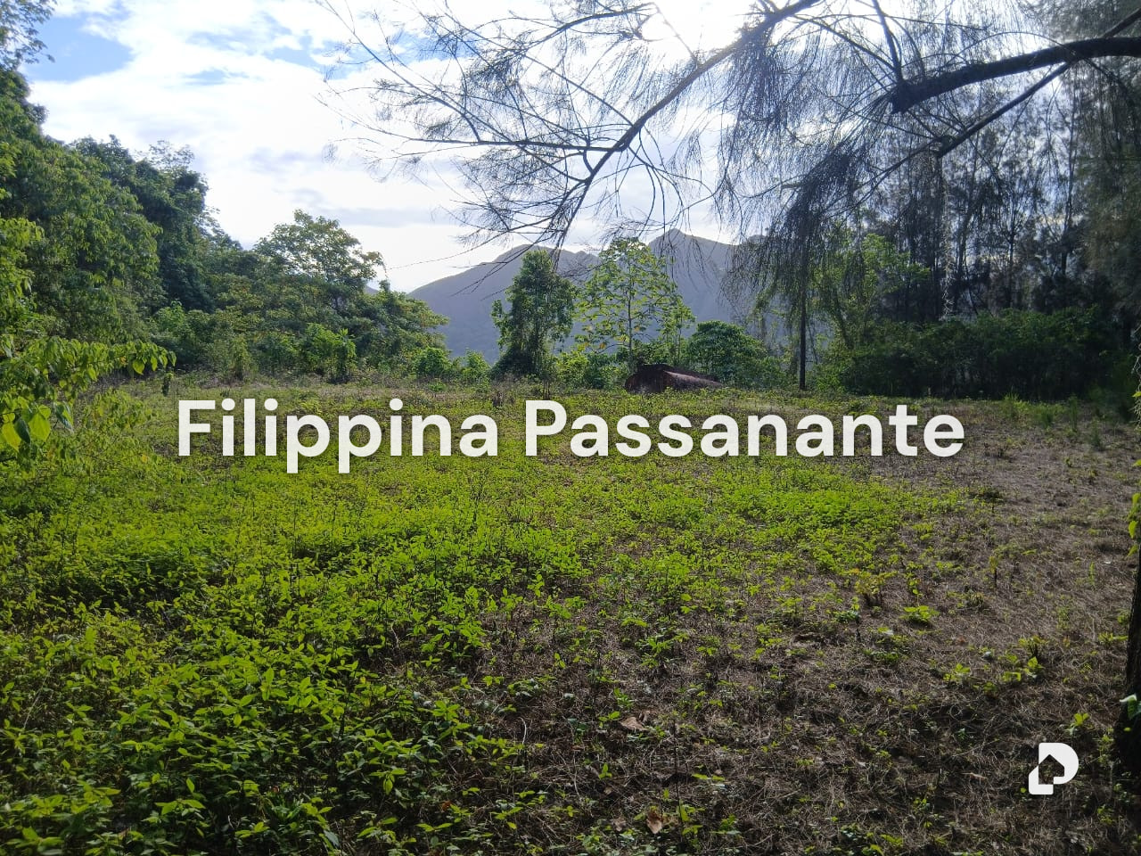 Finca en El Guácharo, Caripe – 4