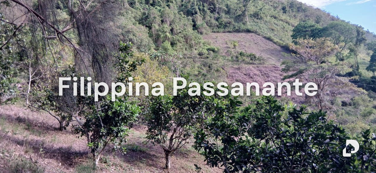 Finca en El Guácharo, Caripe – 8