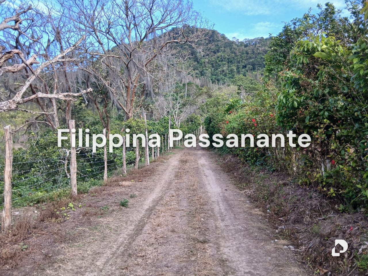 Finca en El Guácharo, Caripe – 3