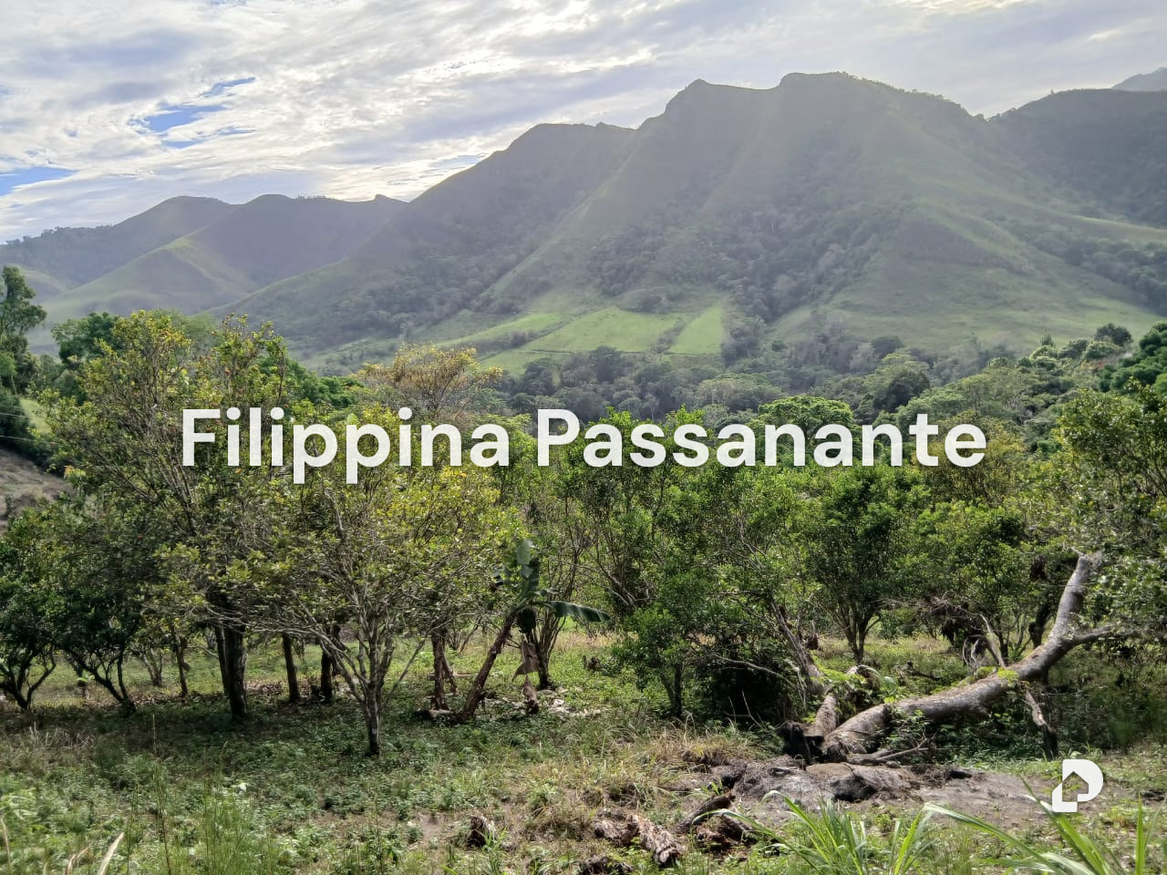 Finca en El Guácharo, Caripe – 6
