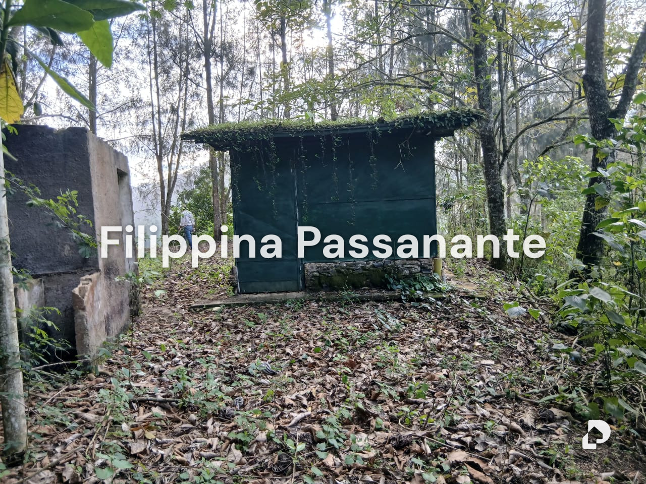 Finca en El Guácharo, Caripe – 5