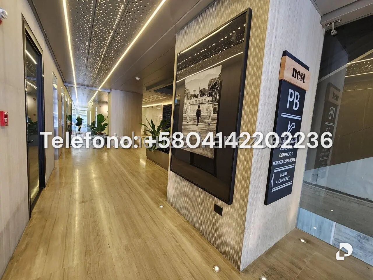 Oficina en Las Mercedes, Caracas – 3