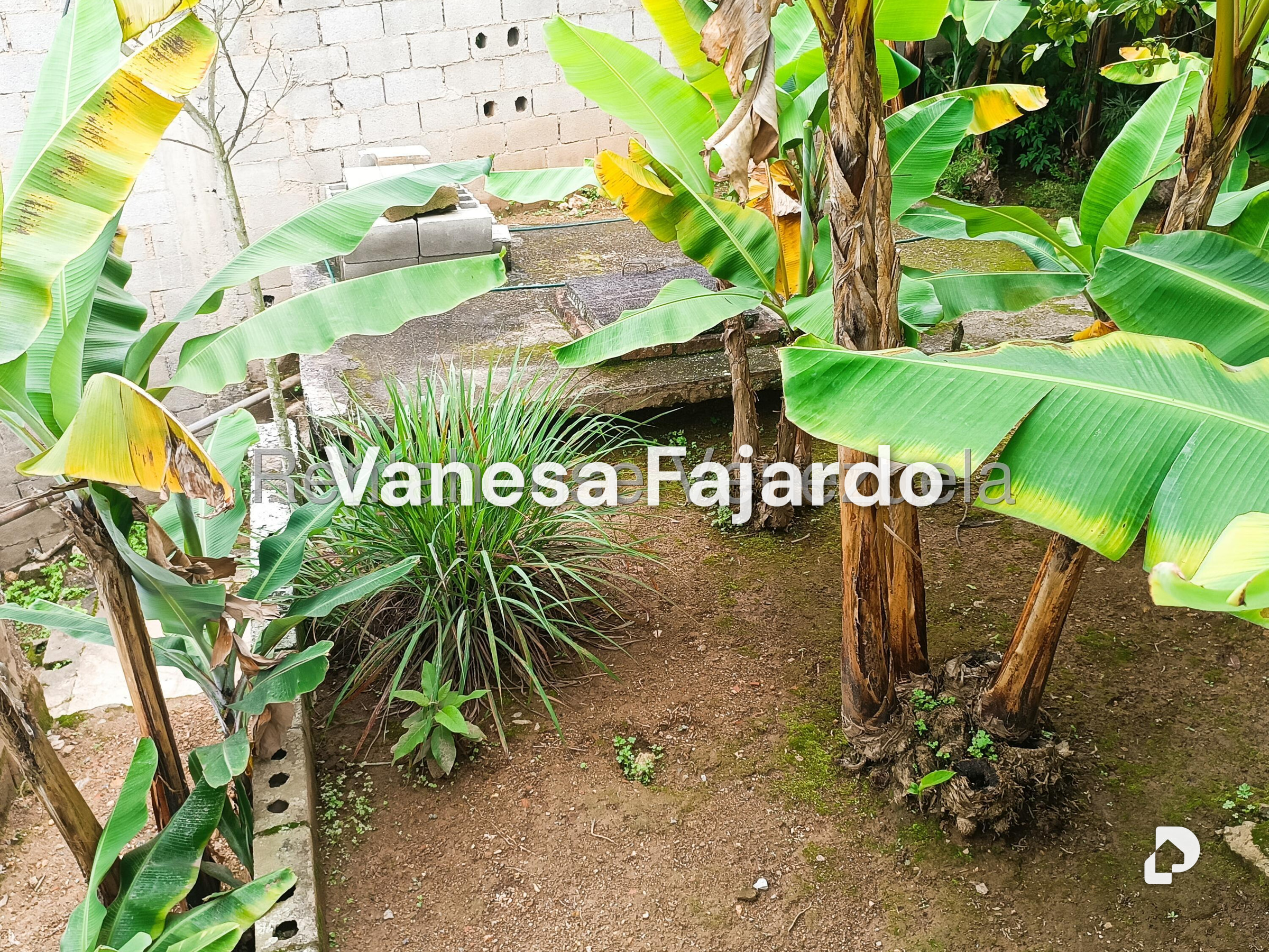 Local comercial en Municipio Carrizal, Carrizal – 30