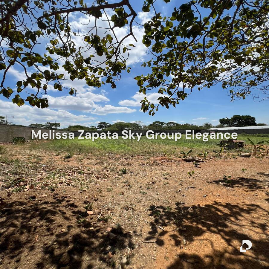 Farm in Barquisimeto – 7