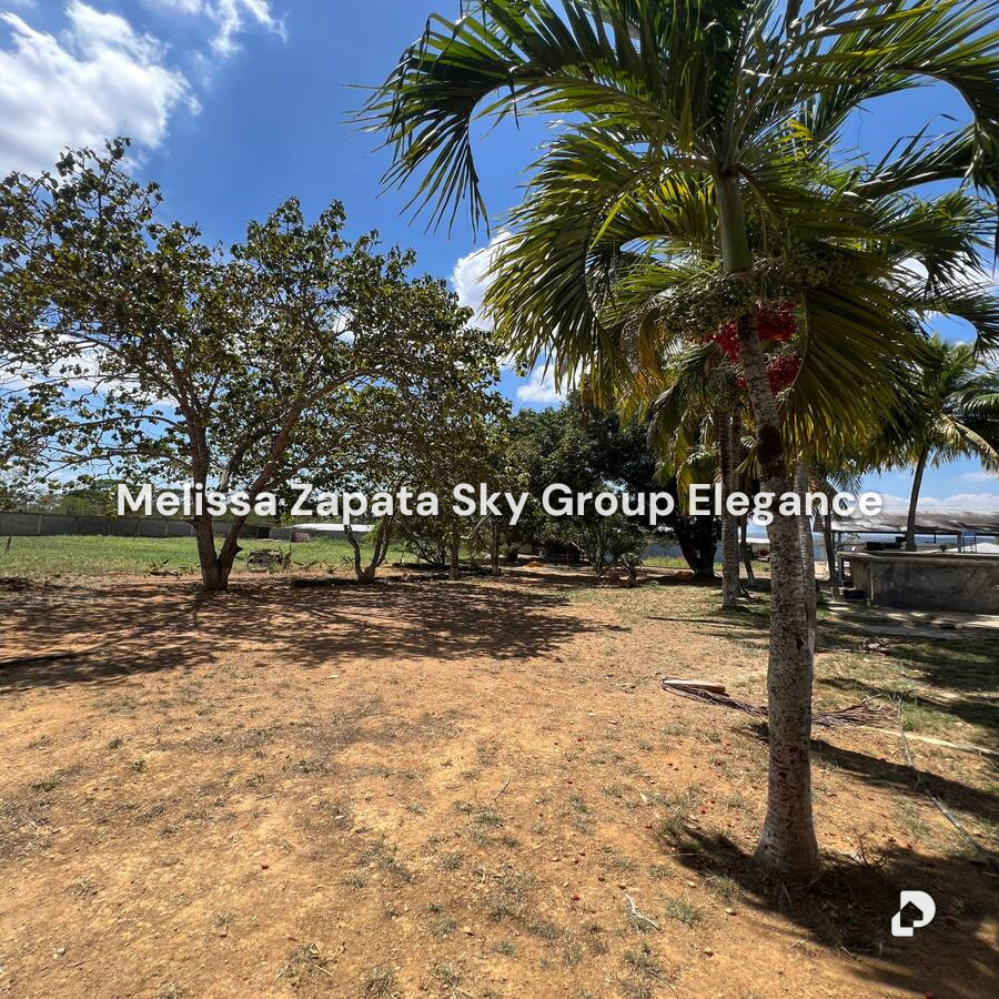 Farm in Barquisimeto – 10