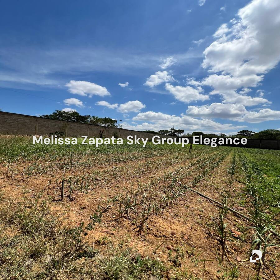 Farm in Barquisimeto – 8
