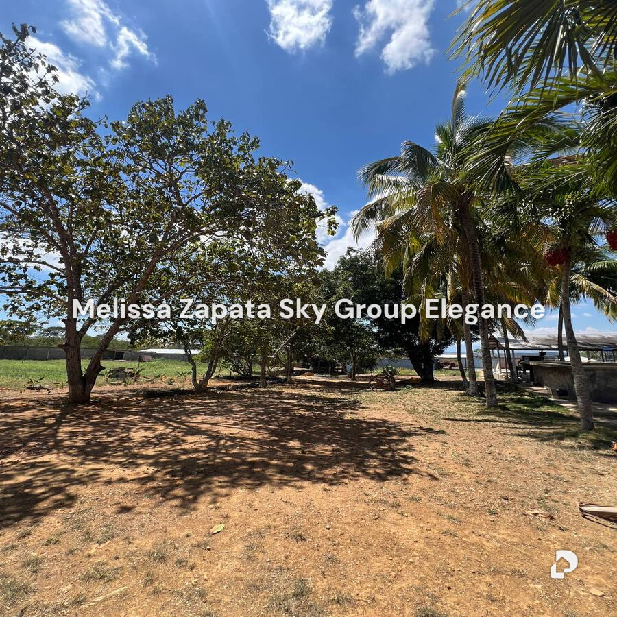Farm in Barquisimeto – 11