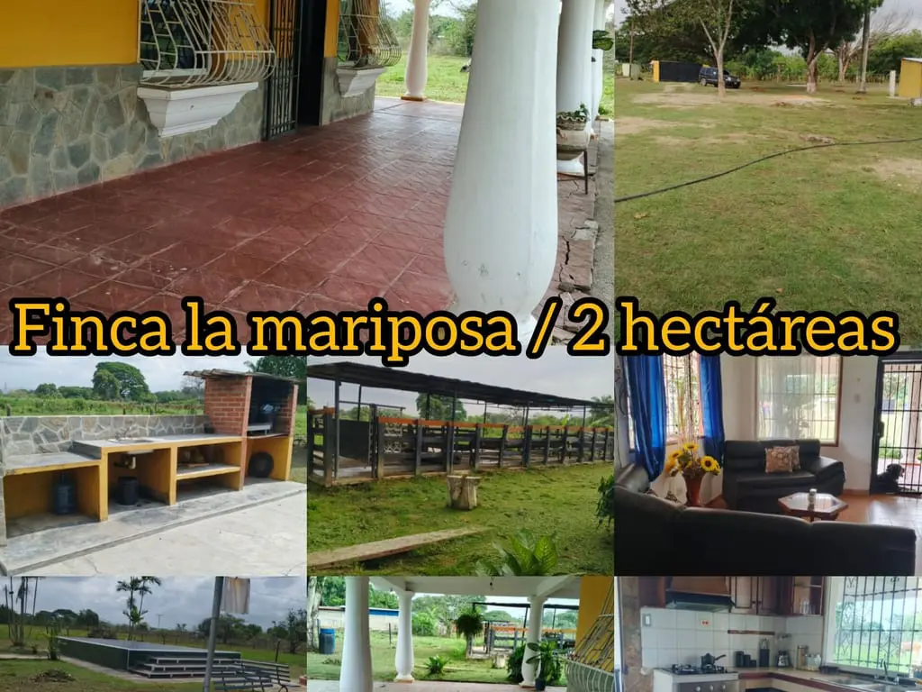 Finca en Valencia