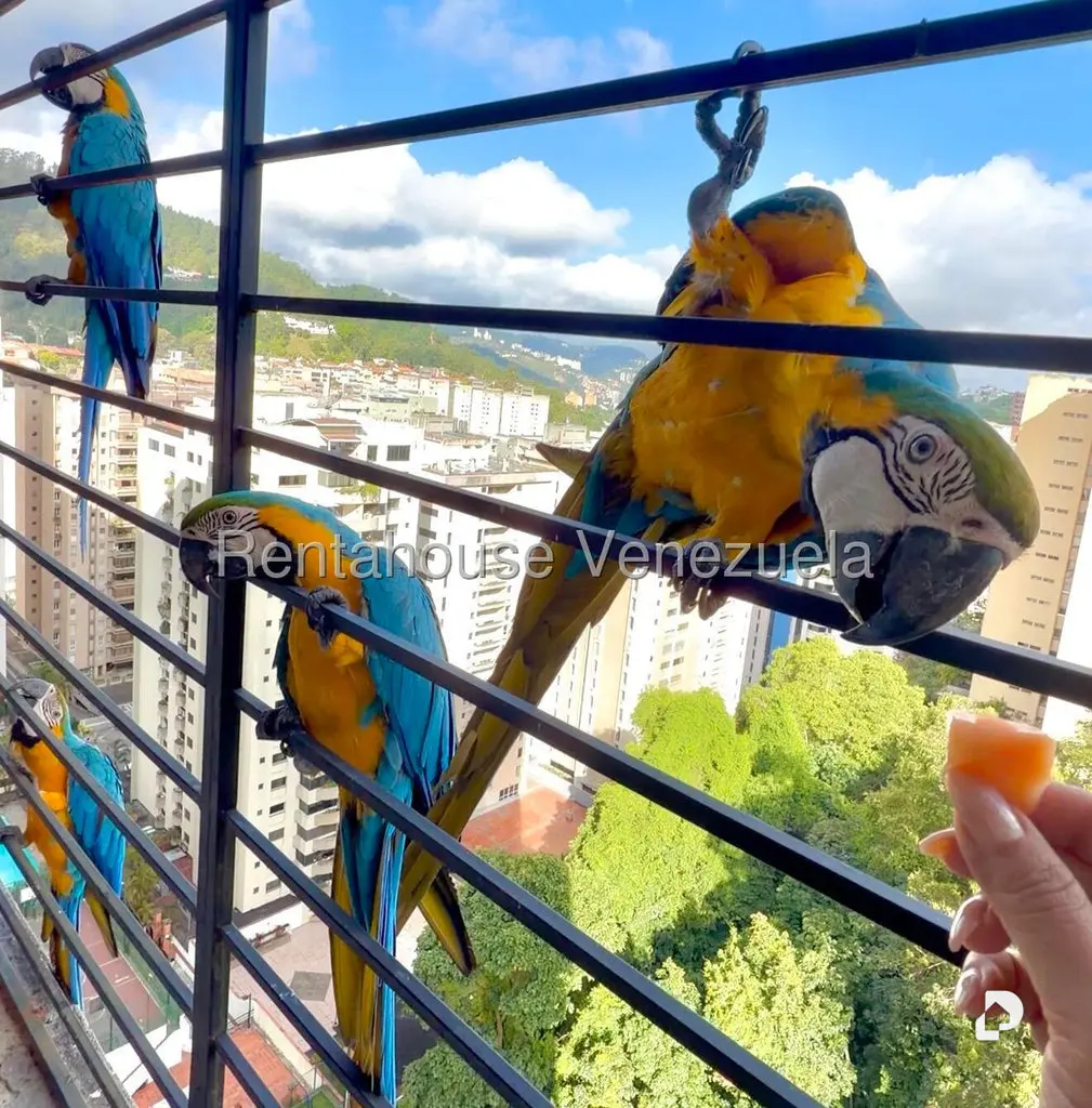 Apartamento en El Cigarral, Caracas – 8