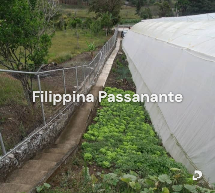 Casa en La Guanota, Caripe – 4