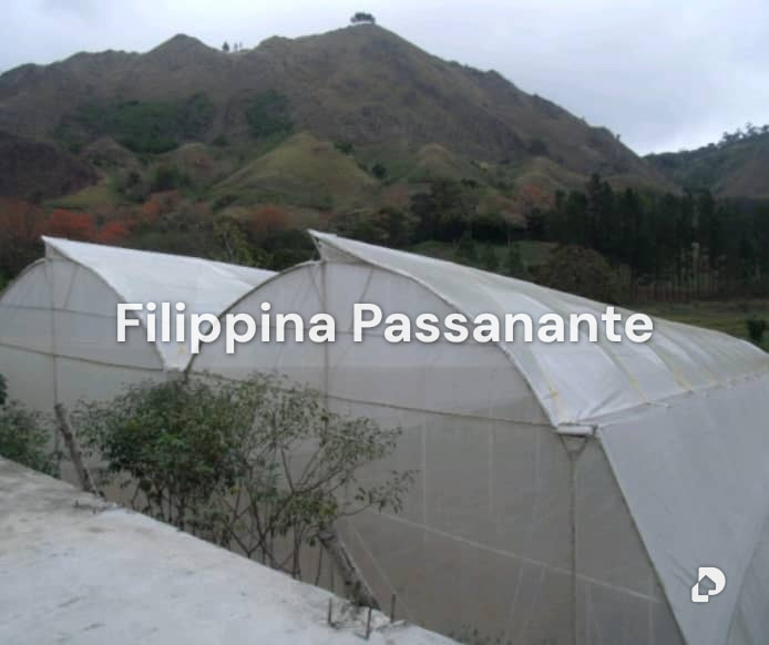 Casa en La Guanota, Caripe – 3