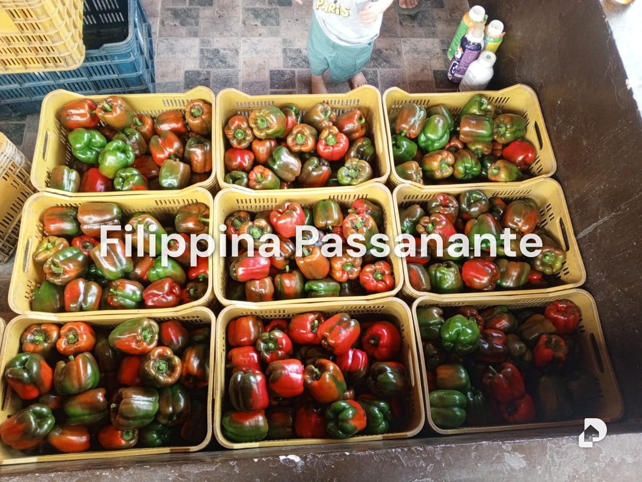 Casa en La Guanota, Caripe – 11