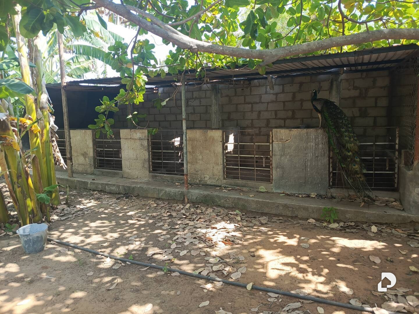 Terreno en Barrio Independencia, Maracaibo