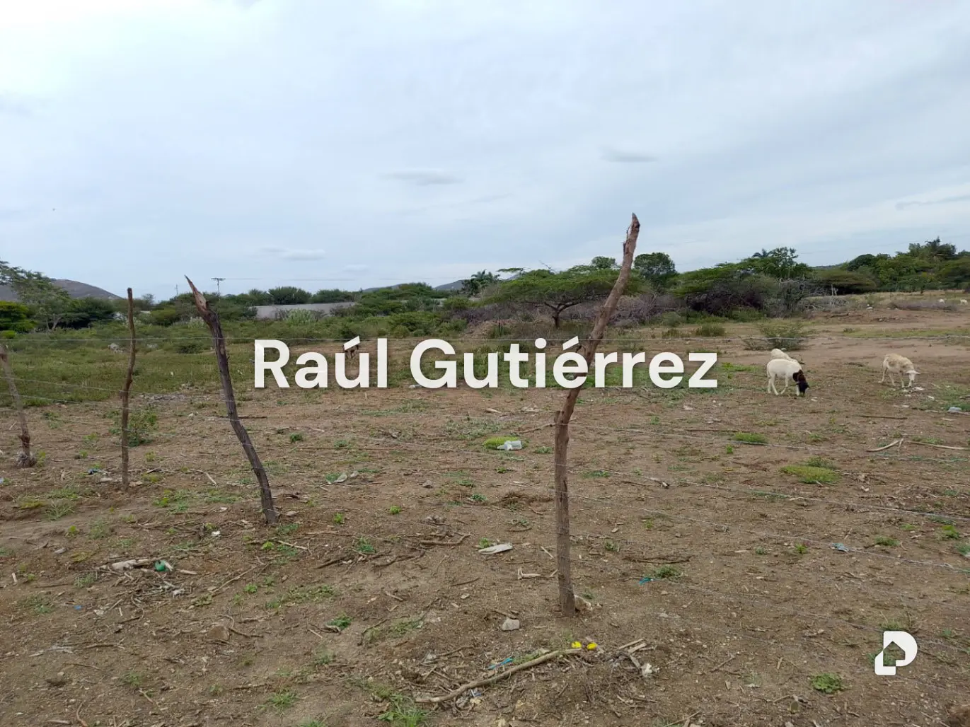Terreno en Av. Florencio Jiménez, Quíbor – 6