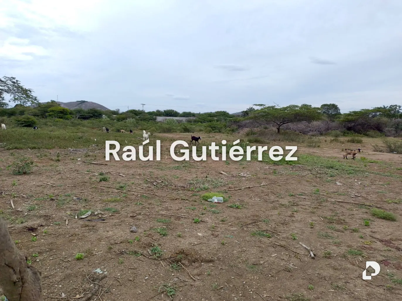 Terreno en Av. Florencio Jiménez, Quíbor – 4