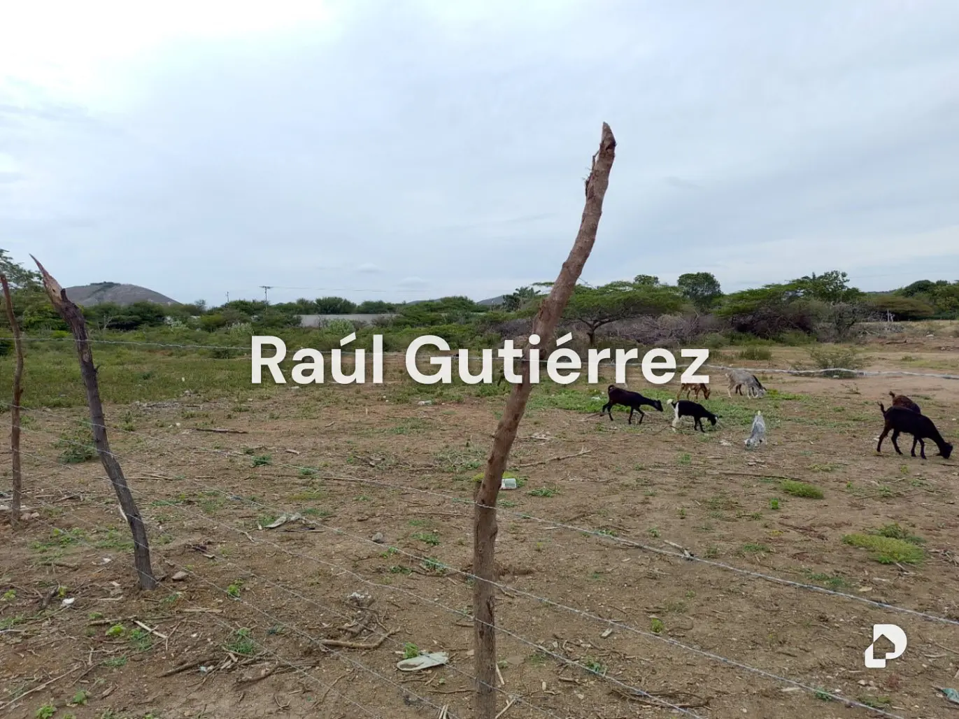 Terreno en Av. Florencio Jiménez, Quíbor – 2