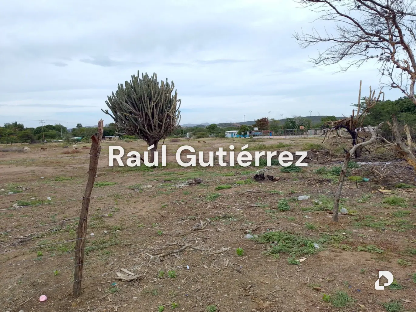 Terreno en Av. Florencio Jiménez, Quíbor – 8