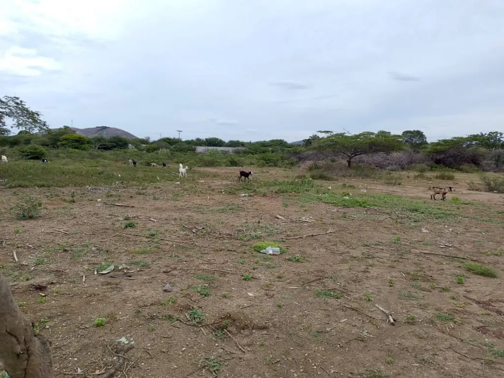 Terreno en Av. Florencio Jiménez, Quíbor - 1