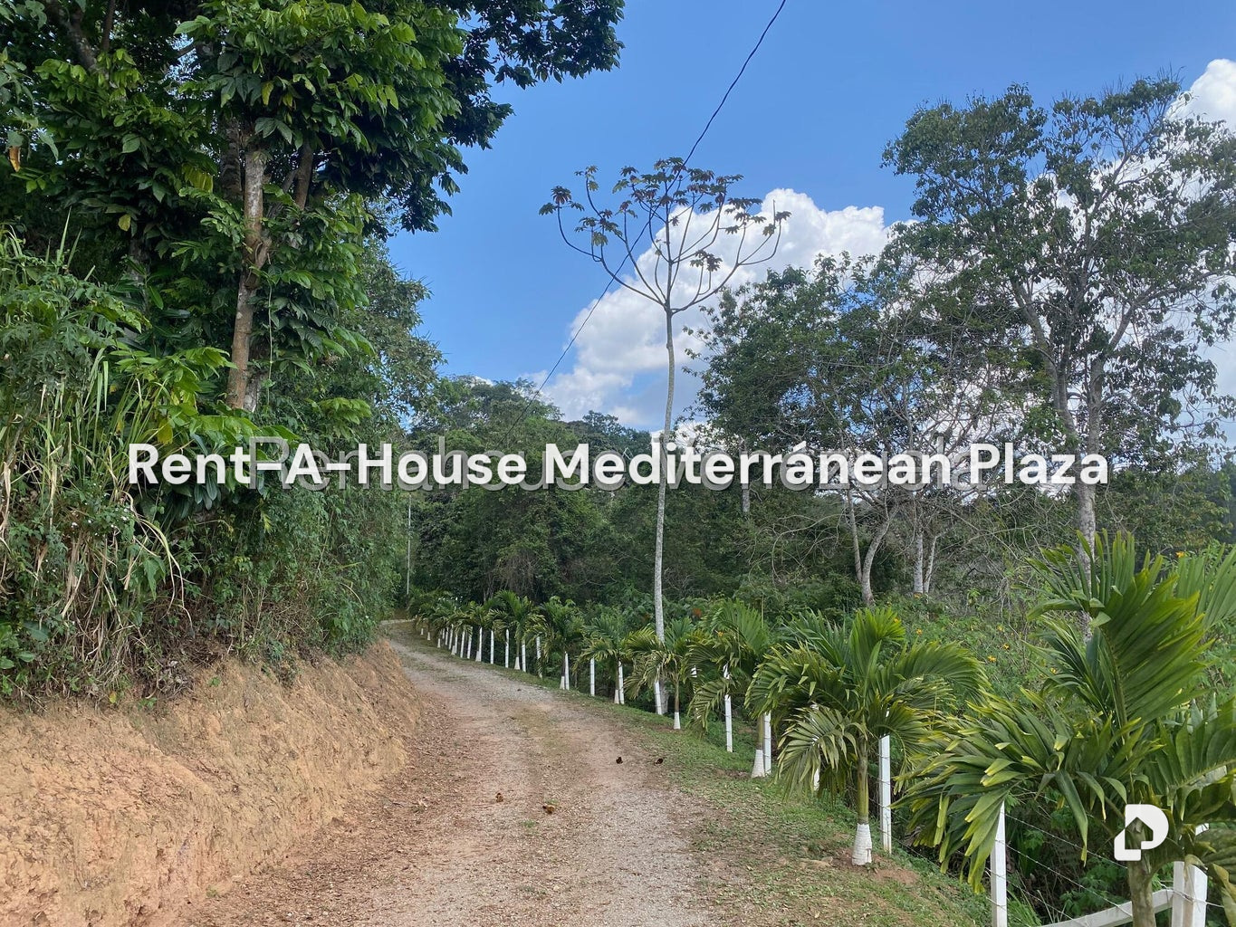 Terreno en Zona Turistica San Vicente, Nirgua – 2
