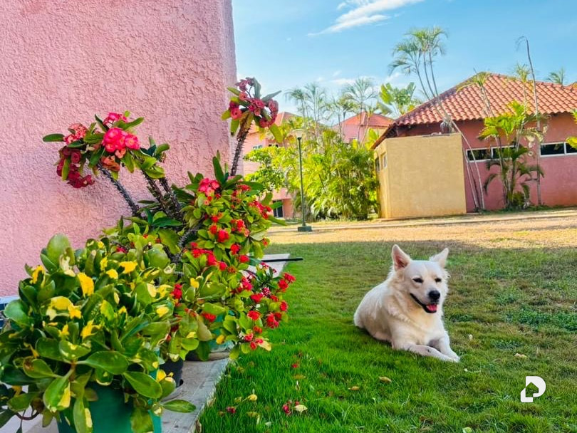Apartamento en Gasparico, Margarita – 6