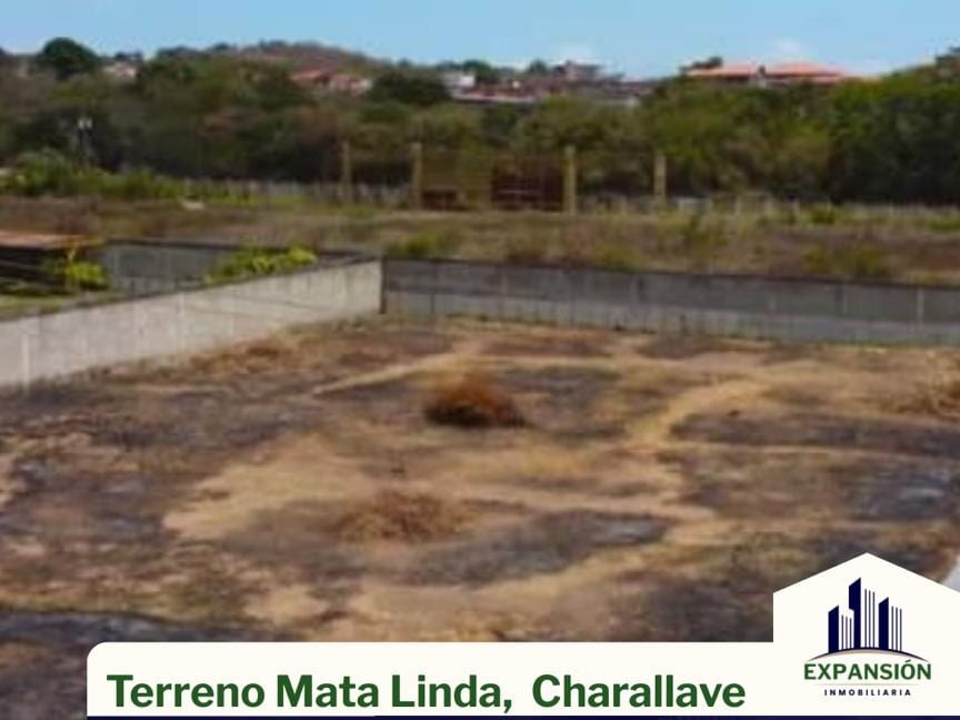 Terreno en Matalinda, Charallave - 1