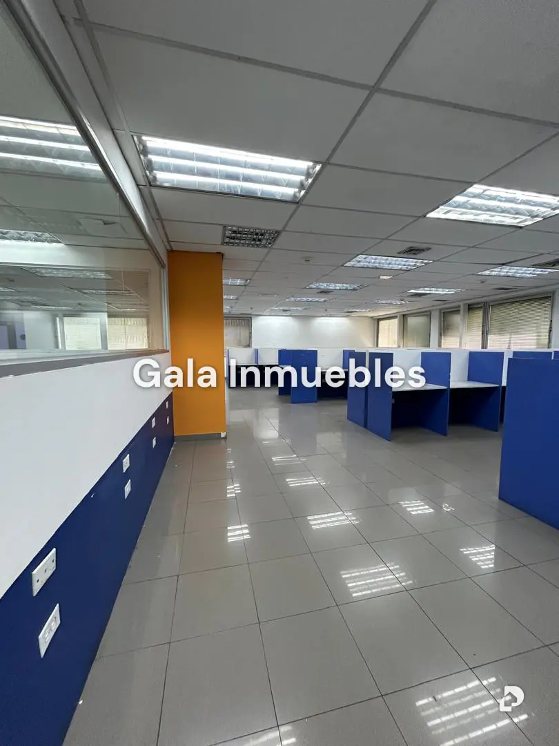 Oficina en Los Ruices, Caracas – 4