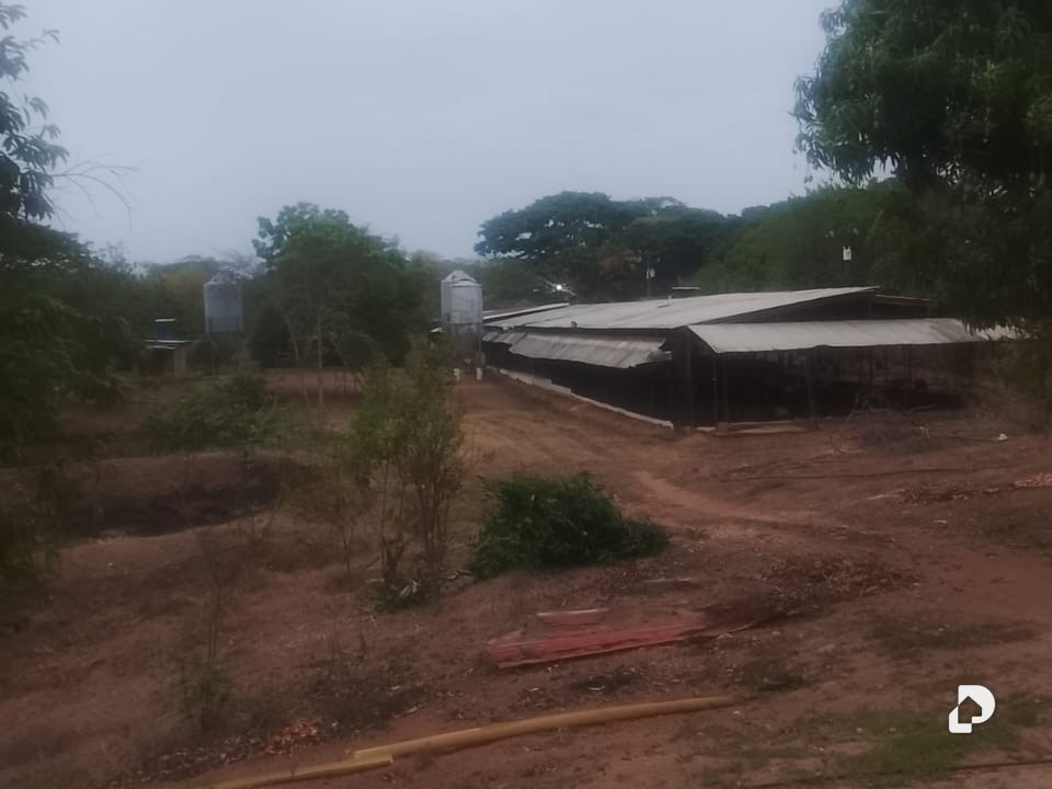Finca en Tinaco – 1