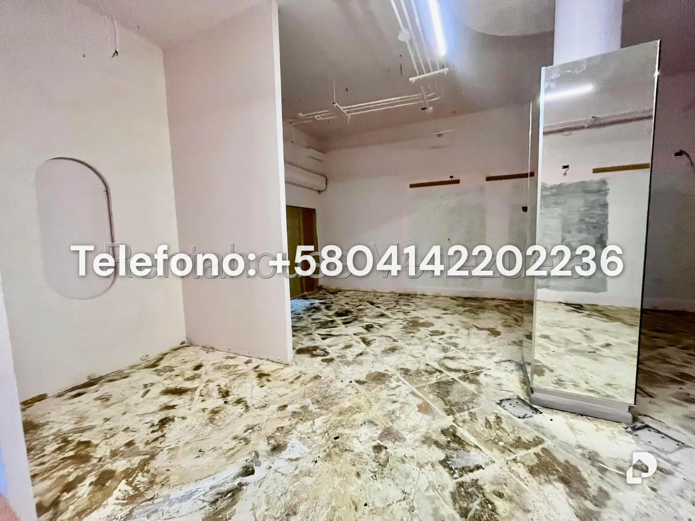Local comercial en Las Mercedes, Caracas – 15