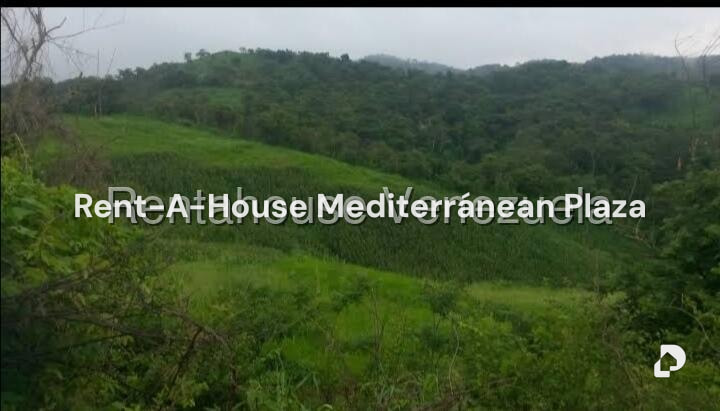 Terreno en Hacienda el Naipe, Libertador – 8