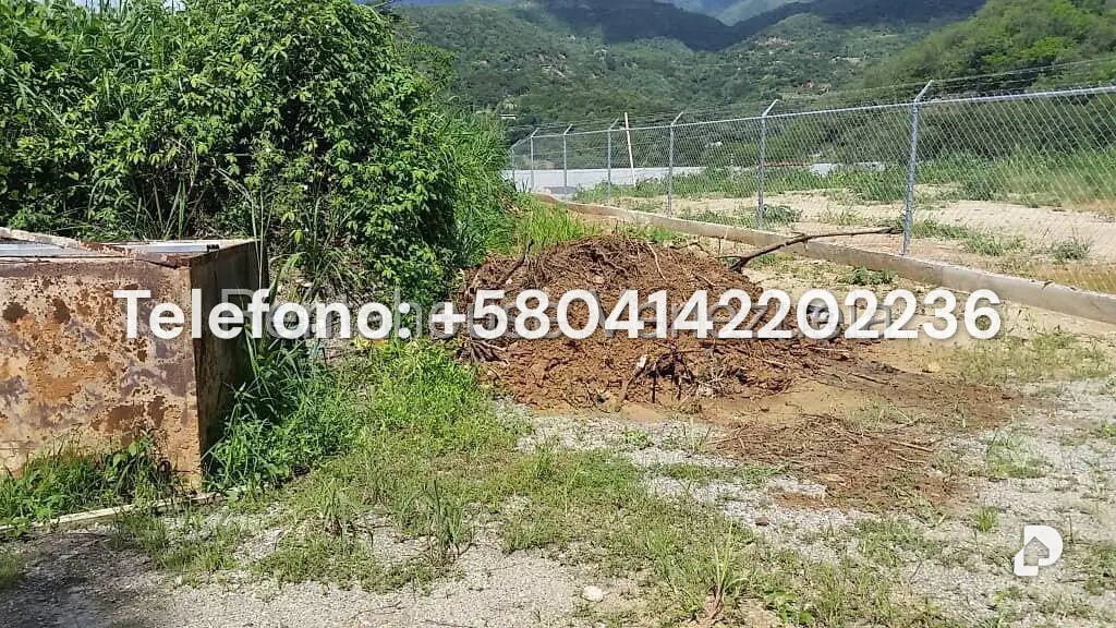 Terreno en Mampote, Guarenas – 19