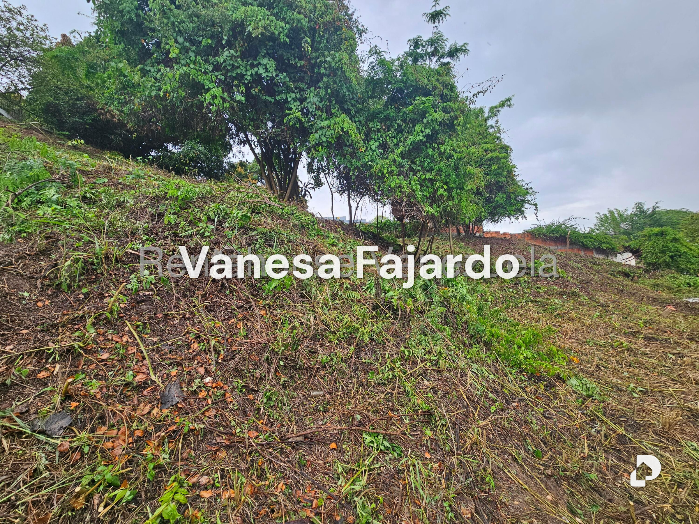 Terreno en Prados del Este, Caracas – 11