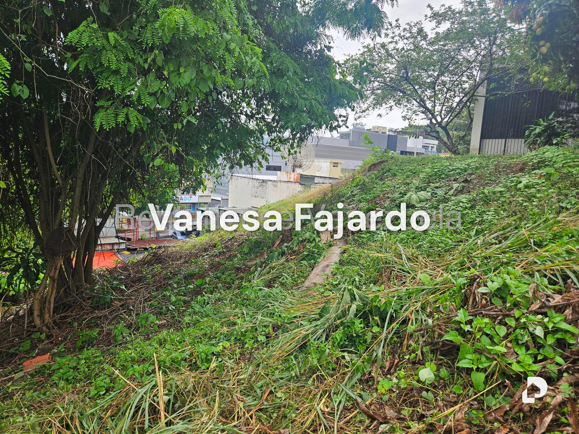 Terreno en Prados del Este, Caracas – 24